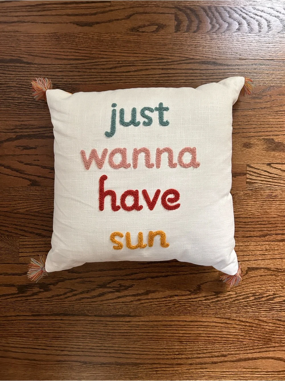 Target Room Essentials Embroidered 'just wanna have sun' Throw Pillow